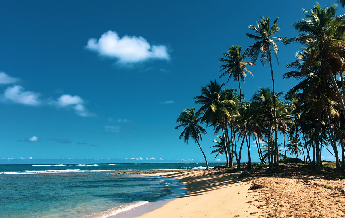 Dominican Republic-Most Visiting Place in Caribbean-Travel Caribbean Sea-Tour Tarzan UK Europe USA Asia