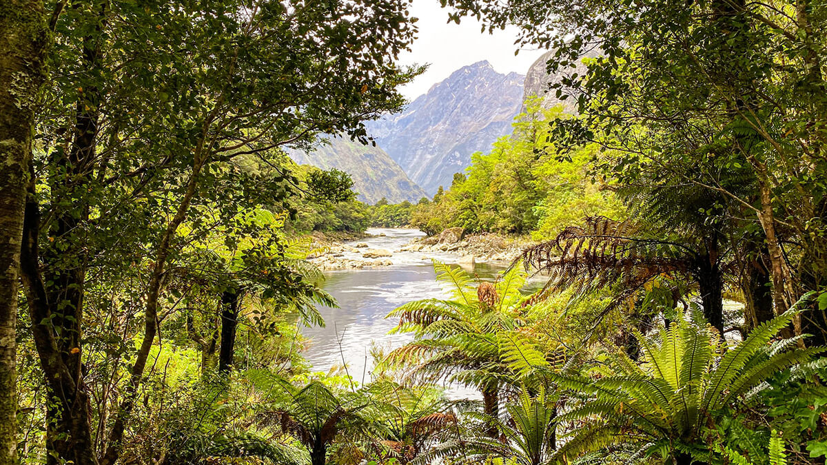 Milford Track, Fiordland National Park, New Zealand-Travel in New Zealand-Tour New Zealand-Tour Tarzan
