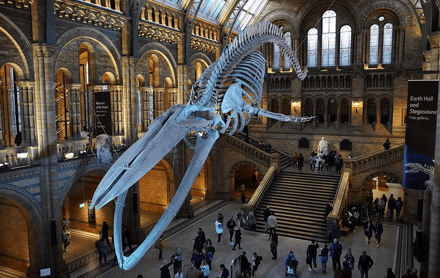 Museums - Top Things to Do In London Holiday London