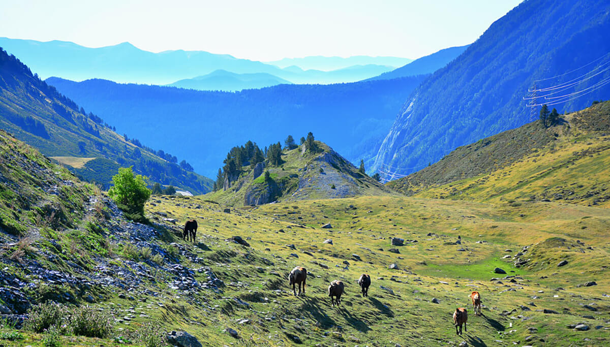Ponies in the Pyrenees, Spain-Top 15 Places to Visit in Spain-Travel Europe-Tour Europe-Tour Tarzan UK Europe USA Asia