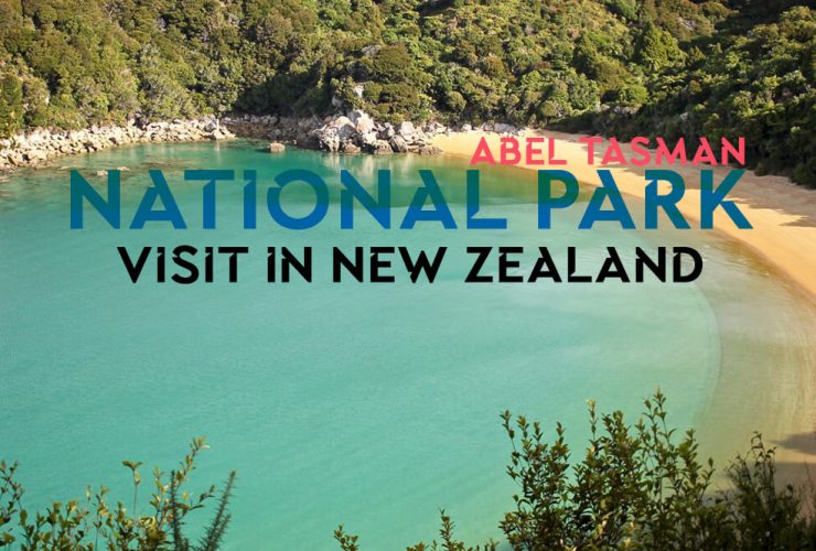 Travel New Zealand-Travel in New Zealand-Tour New Zealand-Tour Tarzan