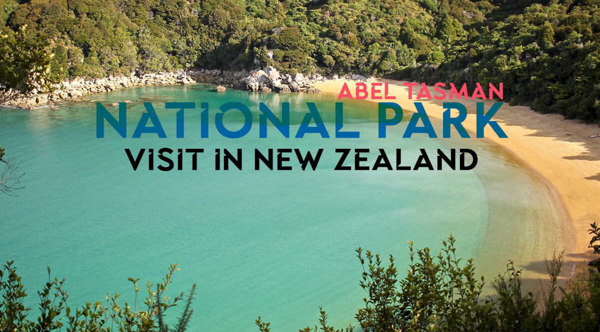 Travel New Zealand-Travel in New Zealand-Tour New Zealand-Tour Tarzan