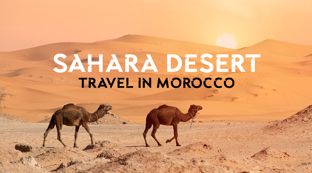 10 Must Visit Sites in Morocco | Travel North Africa | Tour Tarzan UK